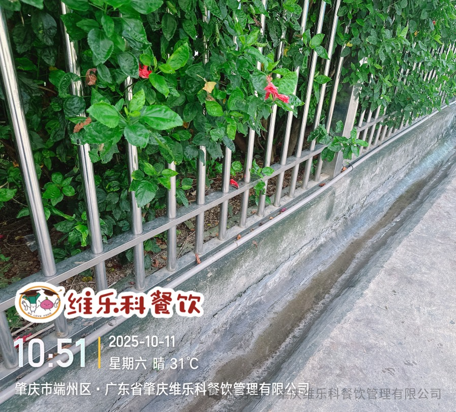 微信图片_20251012183157_7634_109.jpg 微信图片_20251012183157_7634_109.jpg